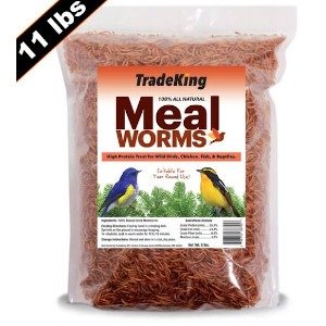 TradeKing Dried Mealworms (11 Lbs)