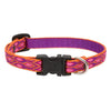 Lupine Pet Original Designs Dog Collar