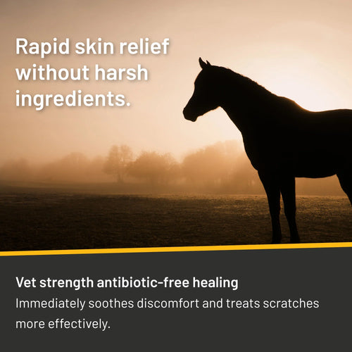 Absorbine Silver Honey® Rapid Skin Relief Vet Strength Scratches Spray