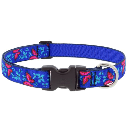 Lupine Pet Original Designs Dog Collar