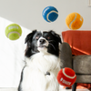 KONG Sport Softies Ball Assorted Dog Toy