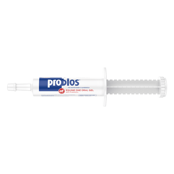 Durvet Probios® Equine One Oral Gel 30 gram (30 gram)