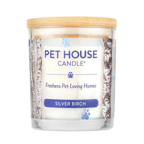 Pet House Silver Birch Candle