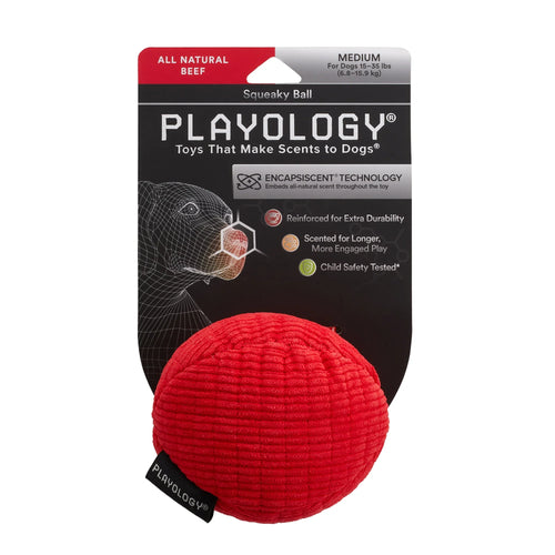 Playology Plush Squeaky Ball Dog Toy (Beef Medium)