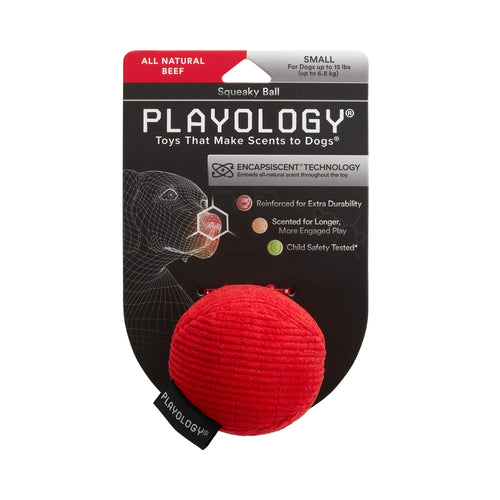 Playology Plush Squeaky Ball Dog Toy (Beef Medium)