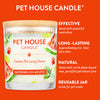 Pet House Watermelon Mojito Candle (9 oz)