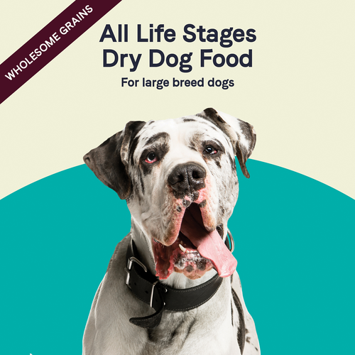 Canidae All Life Stages Large Breed Dry Dog Food, Turkey Meal and Brown Rice (44 lb)