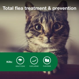 Advantage II Small Cat Vet-Recommended Flea Treatment & Prevention