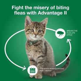 Advantage II Small Cat Vet-Recommended Flea Treatment & Prevention