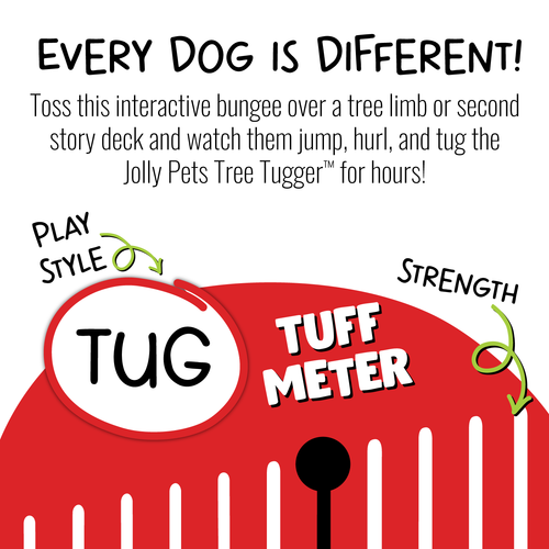 Jolly Pets Tree Tugger Bungee (Large, Green)