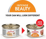 Royal Canin Intense Beauty Thin Slices in Gravy Canned Cat Food