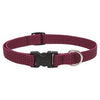 Eco Dog Collar, Adjustable, Berry, 3/4 x 13 to 22-In.