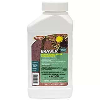 Control Solutions Eraser 41percent Concentrate 1 Pint