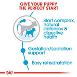 Royal Canin Small Puppy Dry Dog Food