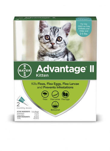 Bayer Advantage II Kitten
