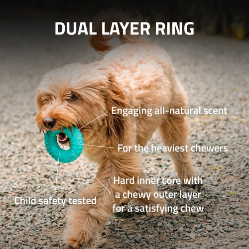 Playology Dual Layer Ring Dog Toy