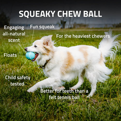 Playology Squeaky Chew Ball Dog Toy