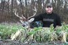 Antler King Radish Food Plot Seed