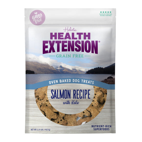 Health Extension Oven Baked Salmon with Kale Dog Treats (6-oz)