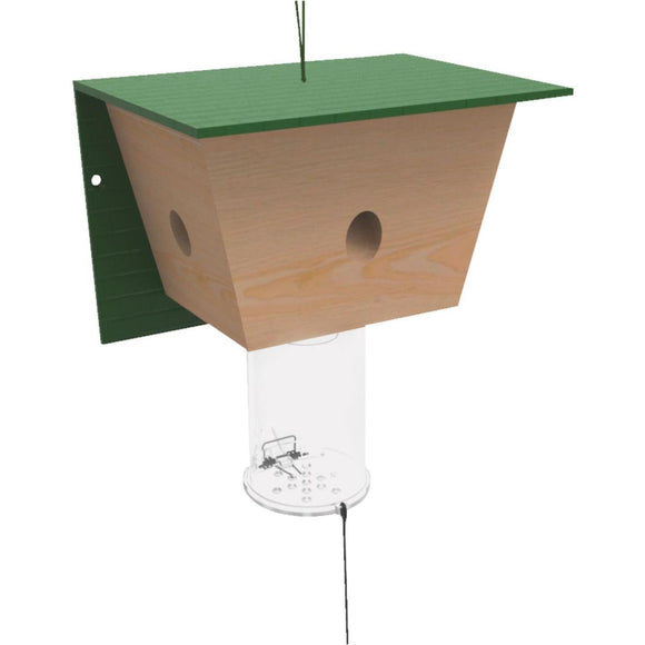 Best Bee Brothers Reusable Outdoor Back Yard Carpenter Bee Trap