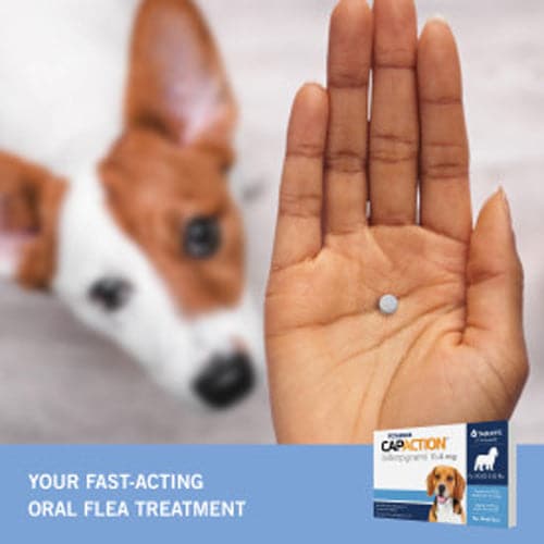 Petarmor Capaction Fast-Acting Oral Flea Treatment for Small Dogs (2-25 lbs 6 Doses)
