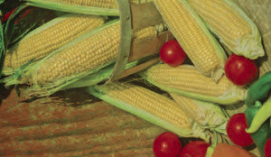 SWEETCORN INCREDIBLE HYBRID (5 LB (EACH))