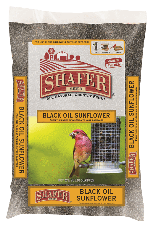 Shafer Seed Black Oil Sunflower Seed 20 lb (20 lb)