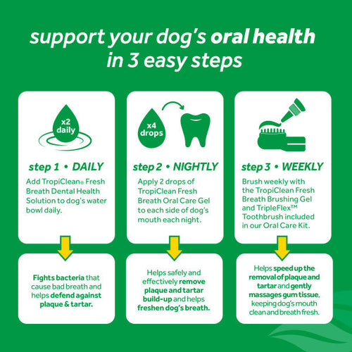 TropiClean Fresh Breath Oral Care Kit for Dogs (Small/Medium)
