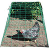 ASI PYRAMID POULTRY WIRE CAGE