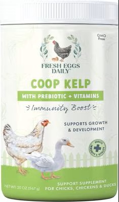 FED COOP KELP 20OZ