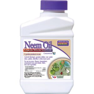 NEEM OIL CONC PT