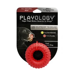 PLAYOLOGY DUAL RING BEEF SM