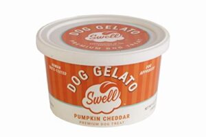 SWELL GELATO PUMPKIN CHEDD 4.5OZ