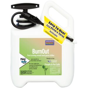 BURNOUT WEED KILL RTU