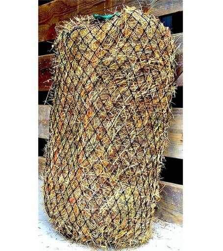 TEXAS HAY NET SM SQUARE BALE