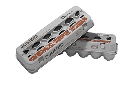 EGG CARTON ASSORTED SIZE