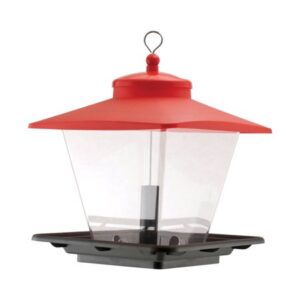 CAFE HOPPER BIRD FDR RED ROOF