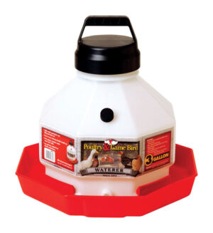 POULTRY WATERER 3 GAL PPF3 LG