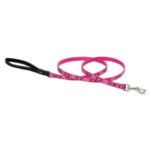 1/2in Puppy Love 4ft Leash