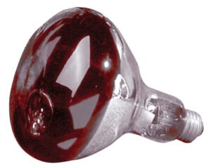 HEAT LAMP RED BULB 250 WATT