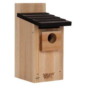 BLUEBIRD BOX HOUSE CDR