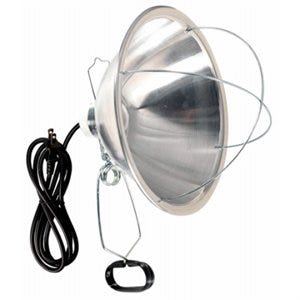 BROODER LIGHT W/ CLAMP