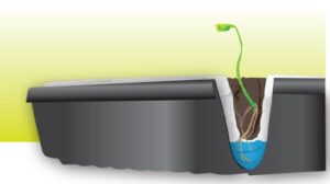 SEED TRAY  BLACK