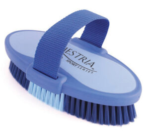 EQUESTRIA OVAL BRUSH BLU
