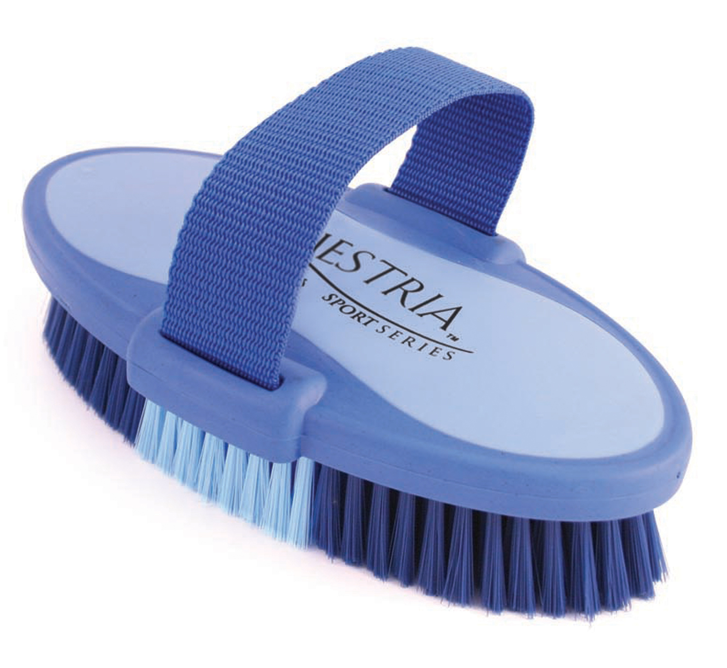 EQUESTRIA OVAL BRUSH BLU