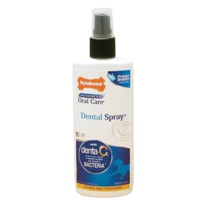 ORAL CARE DENTAL SPRY