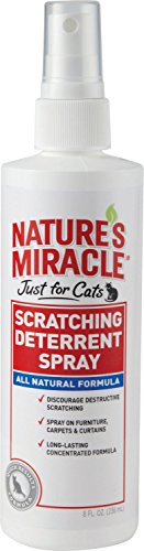 JST FR CATS NO SCRATCH SPRY - Image 4