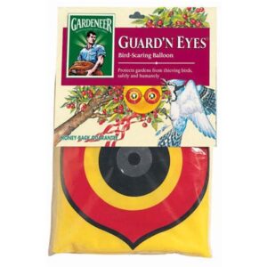 GUARD 'N EYES