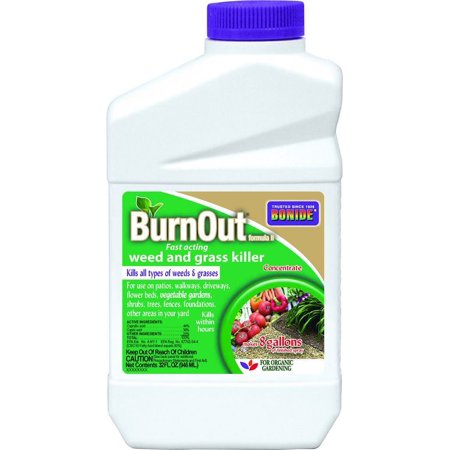 BURNOUT II CONC GAL