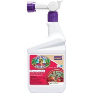 DEADBUG BREW RTS QUART